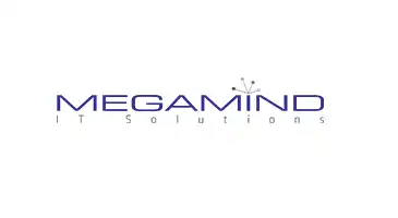 megamind IT web solution